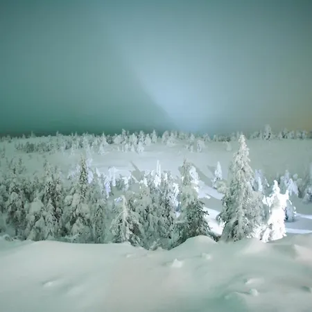 Ilveslinna Huvilat Rovastinaho